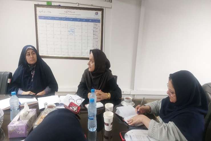 شرکت دفتر راهبری اجرای آموزش درنخستین جلسه تدوین استانداردهای مراقبت از بیماران روانی مزمن با همکاری سازمان بهزیستی